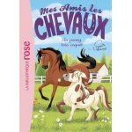 Mes amis les chevaux tome 26 - un poney très coquet Mes amis les chevaux tome 26 - un poney très coquet
