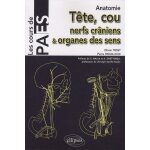 Anatomie tête, cou, nerfs crâniens & organes des sens Anatomie tête, cou, nerfs crâniens & organes des sens
