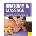 Anatomy & massage Anatomy & massage