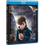 Les animaux fantastiques (2016) / fantastic beasts and where to find them (blu ray)