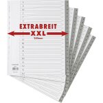 Apt - lot de 5 intercalaires xxl de 20 pièces extra larges en polypropylène din a4 + avec lettres de ... Apt - lot de 5 intercalaires xxl de 20 pièces extra larges en polypropylène din a4 + avec lettres de ...