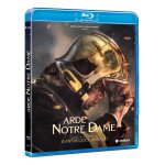 Arde notre dame