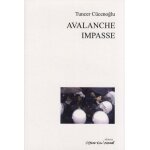 Avalanche et impasse