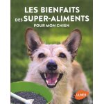 Les bienfaits des super - aliments pour mon chien