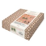 Bijoux en p�te polym�re - coffret avec 4 paquets de p�te polym�re, 6 emporte - pi�ces, 3 paires de boucles ...