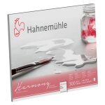 Bloc aquarelle grain fin harmony 300 g sur m 12f