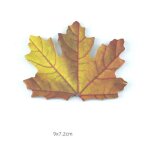 Bloc - notes autocollants plante verte, papeterie mignonne en forme de feuille verte, feuille d'rable, ...