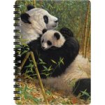 Bloc - note - nouvelle dynastie de deluxebase. carnet a spirale a6 art lenticulaire 3d panda a pages ...