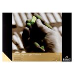 Bloc papier pour pastels clairs a3 30 feuilles 160g rembrandt