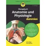 Übungsbuch anatomie und physiologie f�r dummies
