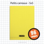 Cahier - 24x32(cm) - petits carreaux - 96 pages - couverture en polypro - sans spirale - clairefontaine ...