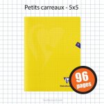 Cahier - 24x32(cm) - petits carreaux - 96 pages - couverture en polypro - sans spirale - clairefontaine ...