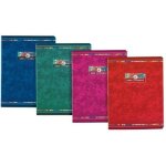 Cahier piqure 96p 17x22 seyes 90g