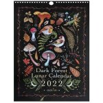 Calendrier lunaire de la for�t sombre, 21cm x 30cm, nouvel an 2022, calendrier mural, peintures artistiques ...