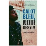 Calot bleu, noir destin - saataroo