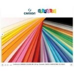 Canson colorline 31 - papier a dessin - 500 x 700 mm - 25 feuilles - pine green