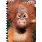 Carnet a5 - bb orang - outan de deluxebase. carnet 3d lenticulaire 80 pages. papeterie ecole bureau ...