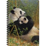 Carnet a5 - nouvelle dynastie de deluxebase. carnet 3d lenticulaire panda 80 pages. papeterie ecole bureau ...