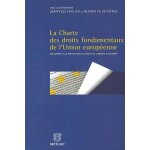 La charte des droits fondamentaux de l'union europeenne - son apport a la protection des droits de l'homme ... La charte des droits fondamentaux de l'union europeenne - son apport a la protection des droits de l'homme ...