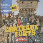 Les ch�teaux forts