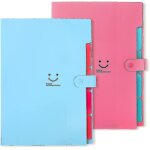 Chemise extensible a 5 poches pour documents a4 / lettre - organiseur accord�on durable