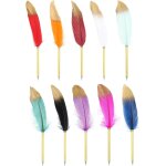 Chenquansarl - lot de 10 stylos a bille a plume en plumes, encre noire 0, 5 mm, tige plaque vintage, ...