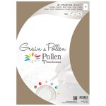 Clairefontaine lot de 3 etuis 5 feuilles grain de pollen 210x297 ficelle 120g