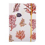 Clairefontaine carnet rembord souple 10, 5 x 14, 8 cm 144 pages lign avec elastique