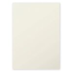 Clairefontaine etui de 25 feuilles 210x297 gris perle 210g