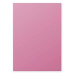 Clairefontaine etui de 50 feuilles 210x297 rose hortensia 120g