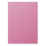 Clairefontaine etui de 50 feuilles 210x297 rose hortensia 160g