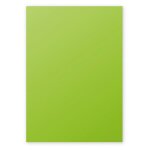 Clairefontaine etui de 50 feuilles 210x297 vert menthe 120g