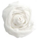 Clairefontaine clairefontaine papier cr�pon, cyclamen