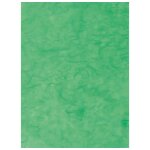 Clairefontaine sac - etui de 10 feuilles de papier m�rier 65x95cm vert pomme