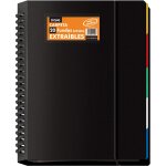 Classeur avec 20 pochettes amovibles - a4 (25 x 31 cm), anneaux disques, 5 intercalaires de couleurs, ...