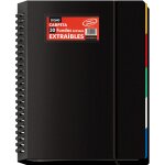 Classeur avec 30 pochettes amovibles - a4 (25 x 31 cm), anneaux disques, 5 intercalaires de couleurs, ...