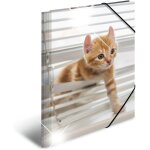 Classeur din a3 en plastique solide avec effet brillant et rabats intérieurs imprimés motif animaux et ... Classeur din a3 en plastique solide avec effet brillant et rabats intérieurs imprimés motif animaux et ...