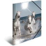 Classeur din a3 en plastique solide avec effet brillant et rabats intrieurs imprims, reliure elastique ...