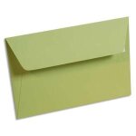 Clf p / 20 env pollen 110x220 vtb 55475