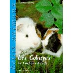 Les cobayes ou cochons d'inde