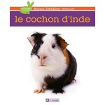 Le cochon d'inde