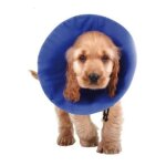 Collier de protection isabelino pour chiens kvp ez soft bleu (18 - 38 cm)