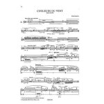 Couleurs du vent for alto flute / recueil