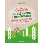 Cultiver du bl� ancien et des c�r�ales dans son jardin