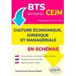Culture economique, juridique et manag�riale en sch�mas bts tertiaires cejm