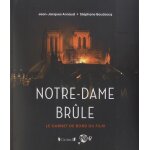 Notre - dame br�le - le carnet de bord du film