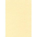 Decadry bo�te de 50 feuilles a4 165g parchemin or