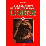 A la decouverte de la pelote basque - le chistera
