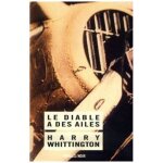 Le diable a des ailes