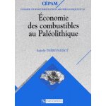 Economie des combustibles au paléolithique Economie des combustibles au paléolithique